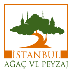 İstanbul Ağaç ve Peyzaj